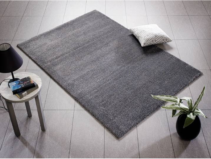 Tapis à poils courts Silentus Bliss Gris/Gris foncé 80 x 150cm Polypropylène