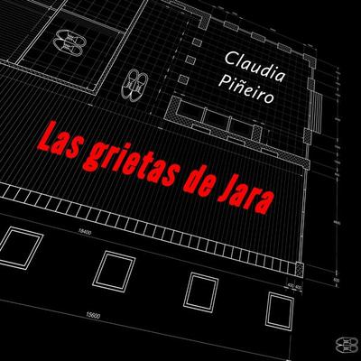 Las grietas de Jara - Claudia Pineiro, Audio, 9789152175446