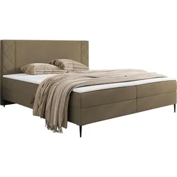 BOXBETT Portes - H3