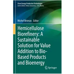 Hemicellulose Biorefinery: A Sustainable Solution for Value Addition to Bio-Based Products and Bioen, Fachbücher von Michel Brienzo