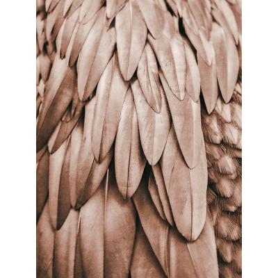 Fototapete LIVING WALLS "ARTist Feathers", rosa (kupferfarben, orange), B:2m L:2,7m, Vlies, Tapeten, Vlies, Wand, Schräge
