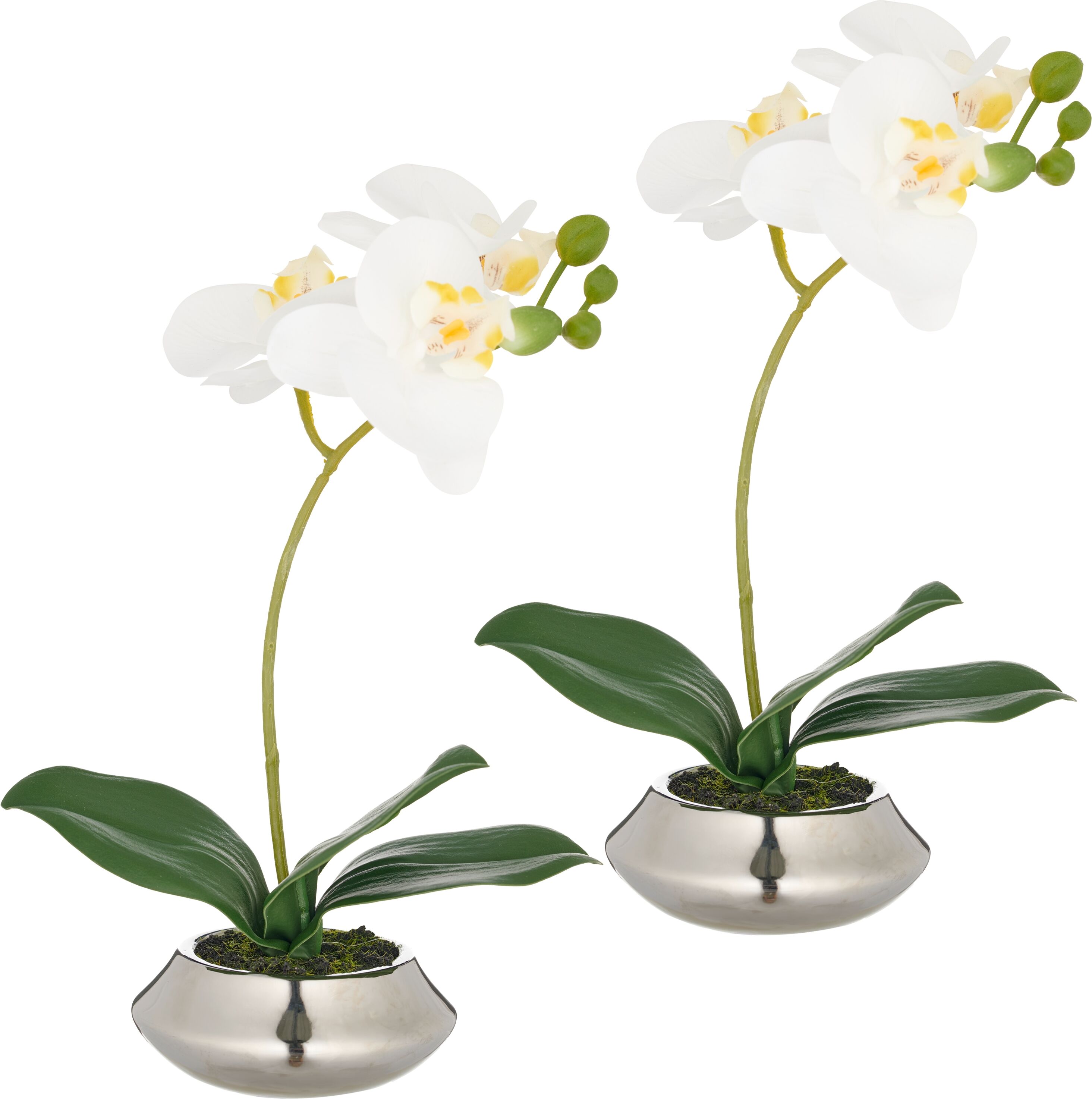 Kunstorchidee CREATIV GREEN "Orchidee Phalaenopsis", weiß, H:28cm, Kunststoff, Kunstpflanzen, mit dauerhafter Blütenpracht