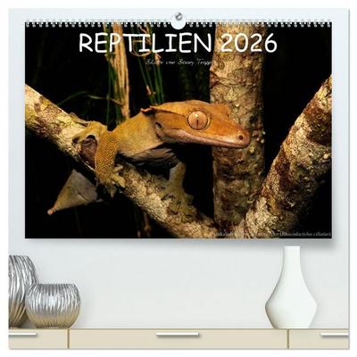 REPTILIEN (hochwertiger Premium Wandkalender 2026 DIN A2 quer), Kunstdruck in Hochglanz