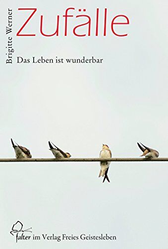 Brigitte Werner - Zufälle: Das Leben ist wunderbar (Falter) - Preis vom 09.10.2026 07:28:09 h