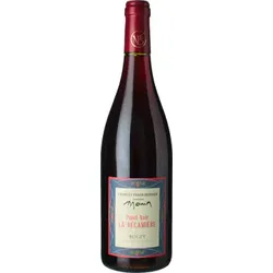 La Récamière 2025 - Domaine Monin - 0.75L
