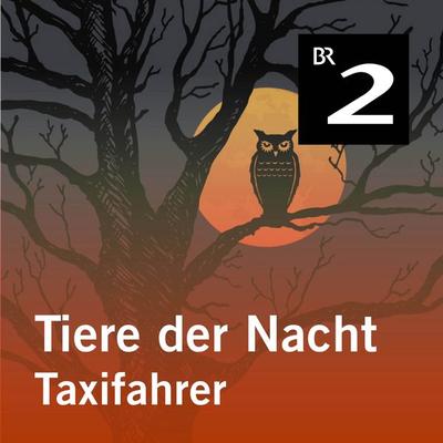 Tiere der Nacht: Taxifahrer - Silke Wolfrum, Audio, 4057664414106