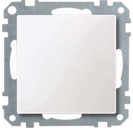 Merten Blindabdeckung pws/gl 391619)