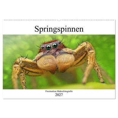 Faszination Makrofotografie: Springspinnen (Wandkalender 2027 DIN A2 quer), CALVENDO Monatskalender