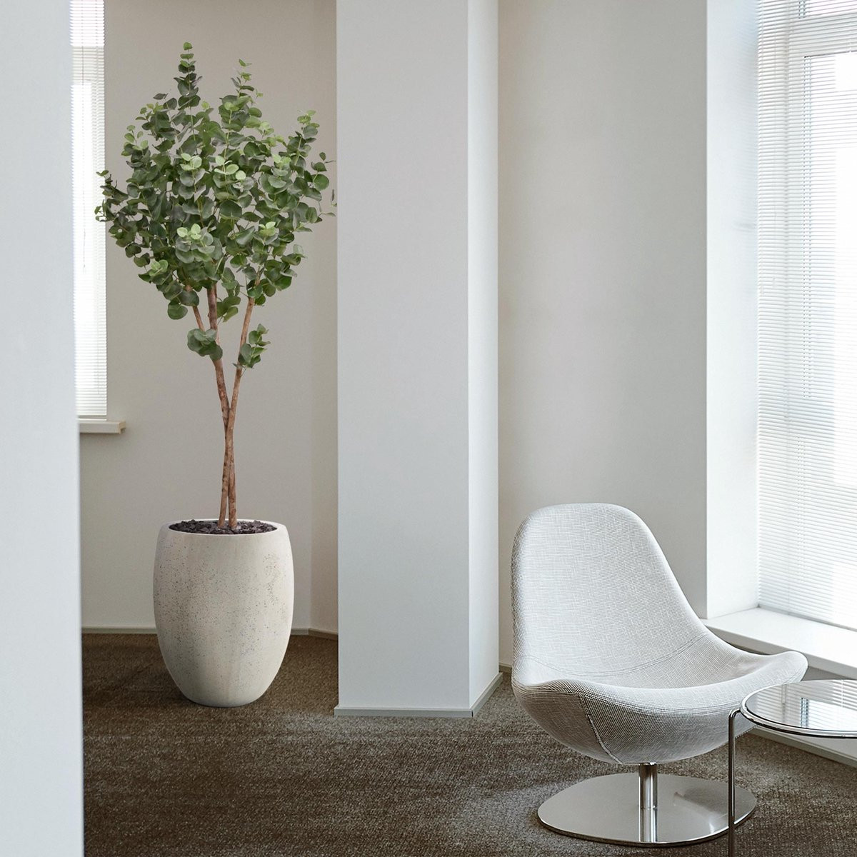 Maxifleur Eucalyptus Kunstboom op stam, 170 cm