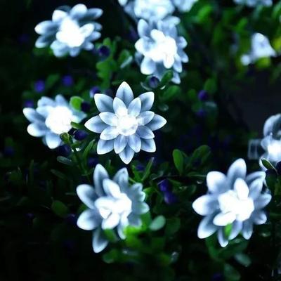 Uplift Picks Solar Lotus Sakura Flower String Lights For Enchanting Outdoor Garden Decor white 7 M 50 Leds lotus Flower