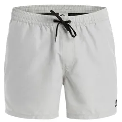 Quiksilver Badeshorts Everyday Deluxe 15" Schwimmshorts Grey - S - S