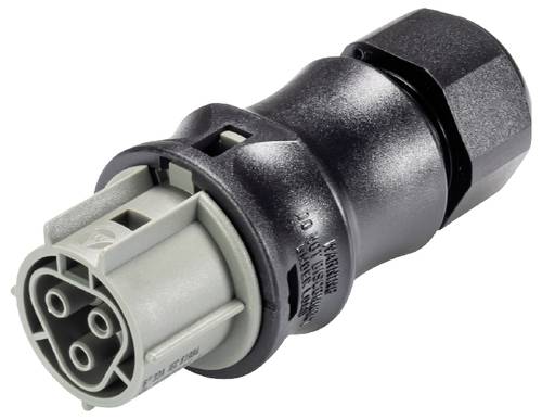 Wieland Electric 96.031.4154.3 Steckverbinder