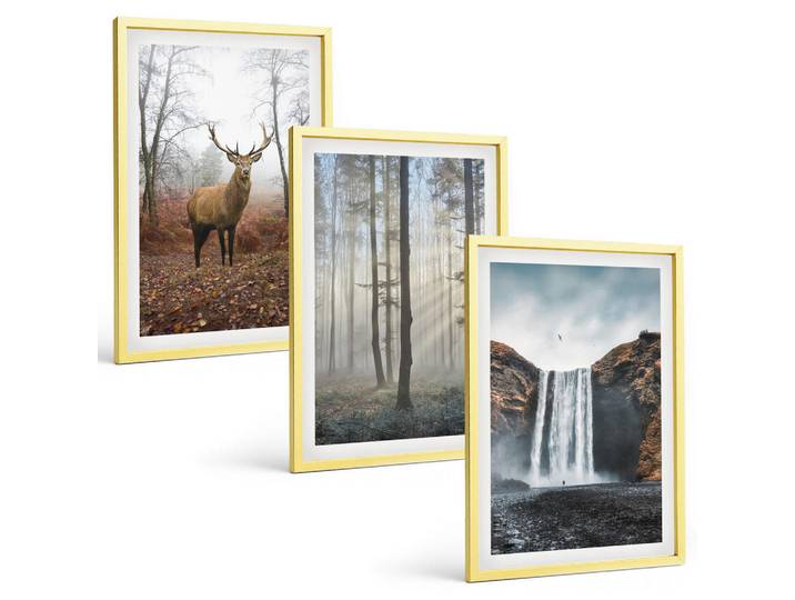 Tulup Bilder SET 3er Set - 40x60 cm Goldrahmen - Waldlandschaften, wilde Natur, Goldfarben, Kunststoff, Rechteckig, 40x60 cm, gerahmt, Bilder & Rahmen, Bilder