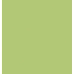 Rako Color One Wandfliese Hellgrün 20x20 cm matt WAA1N465.1