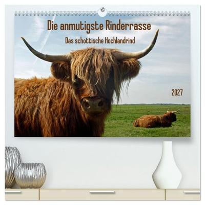 Die anmutigste Rinderrasse - Das schottische Hochlandrind (hochwertiger Premium Wandkalender 2027 DIN A2 quer), Kunstdruck in Hochglanz