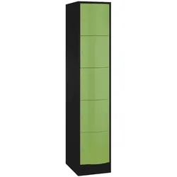 CP Fächerschrank »Resisto« grün, 39.6x195x54 cm