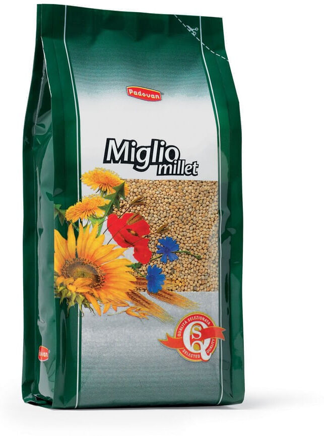 Miglio Giallo Padovan KIT RISPARMIO 2X1KG