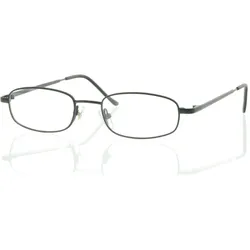 Brille Schnäppchenbrille III grau