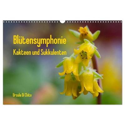 Blütensymphonie - Kakteen und Sukkulenten (Wandkalender 2027 DIN A3 quer), CALVENDO Monatskalender