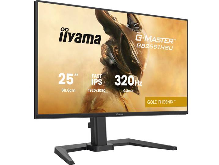 iiyama G-MASTER GB2591HSU-B1, 62,2 cm (24.5'), 1920 x 1080 pixels, Full HD, LED, 0,4 ms, Noir