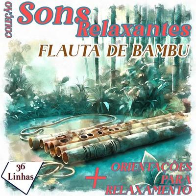 Coleção Sons Relaxantes - Sons de Flauta de Bambu - Silvia Strufaldi, Audio, 9798882391101