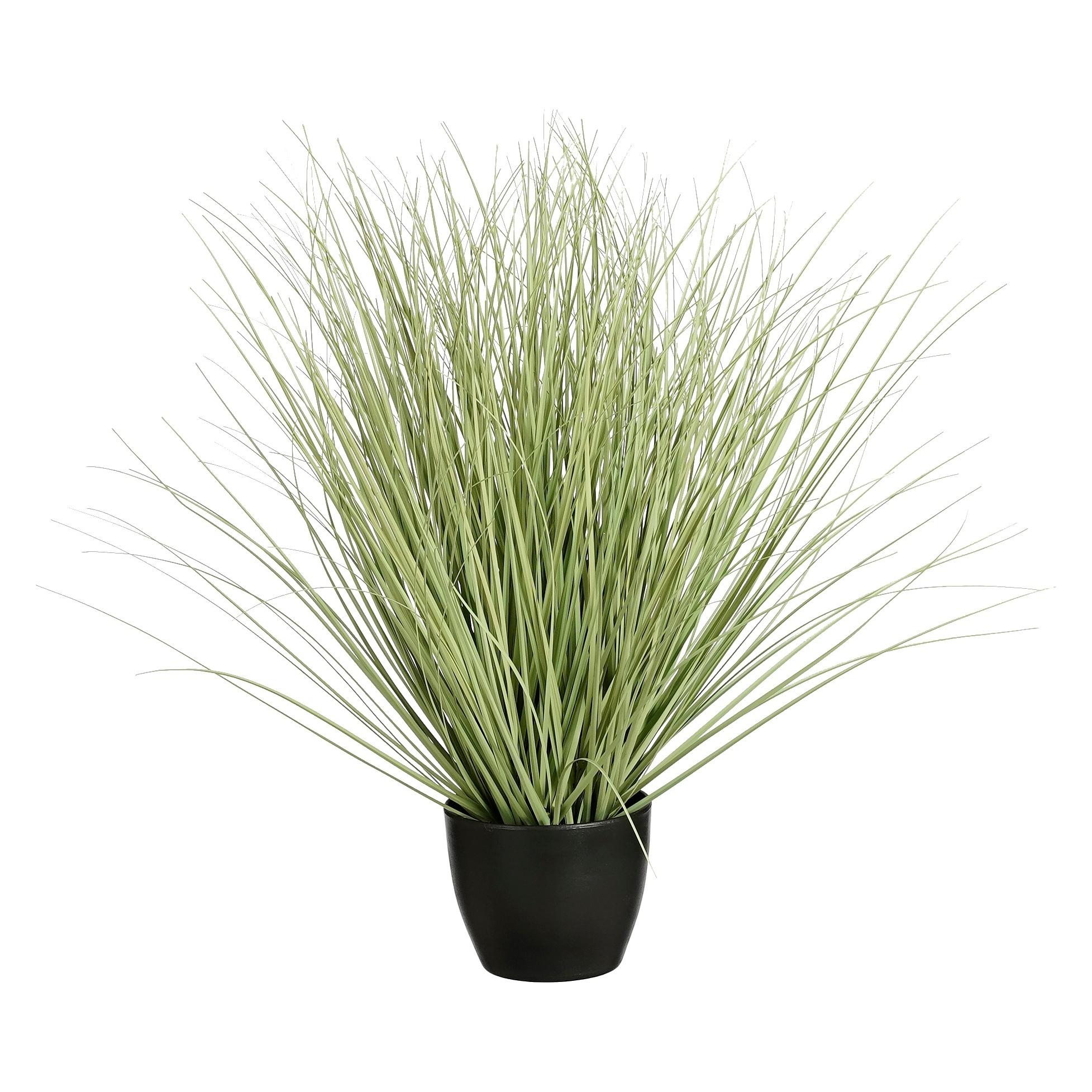 Mica Decorations Gras (50 cm) (1005548)