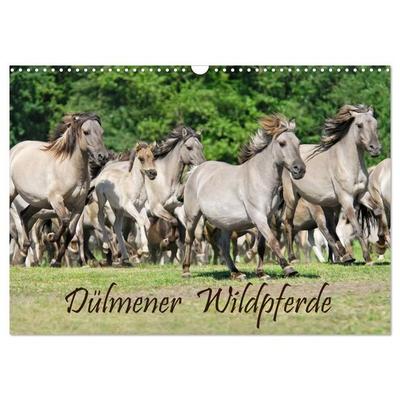 Dülmener Wildpferde (Wandkalender 2027 DIN A3 quer), CALVENDO Monatskalender