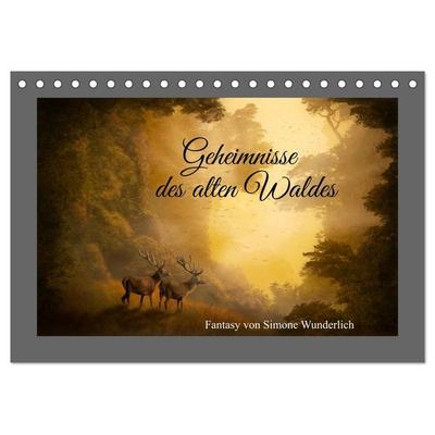 Geheimnisse des alten Waldes (Tischkalender 2027 DIN A5 quer), CALVENDO Monatskalender