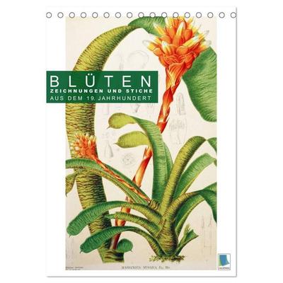 Blüten: Zeichnungen und Stiche aus dem 19. Jahrhundert (Tischkalender 2027 DIN A5 hoch), CALVENDO Monatskalender