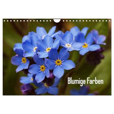 Blumige Farben (Wandkalender 2027 DIN A4 quer), CALVENDO Monatskalender
