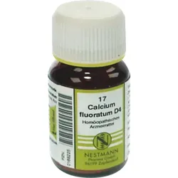 CALCIUM FLUORATUM KOMPLEX Nr.17 Tabletten 120 St