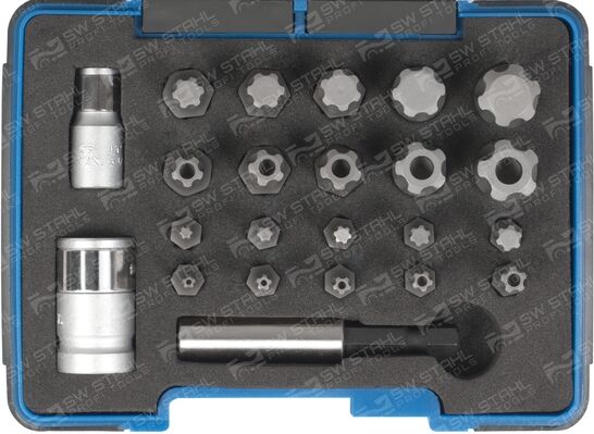 Swstahl Set, Schraubendreher-Einsatz (Bits) 04191l