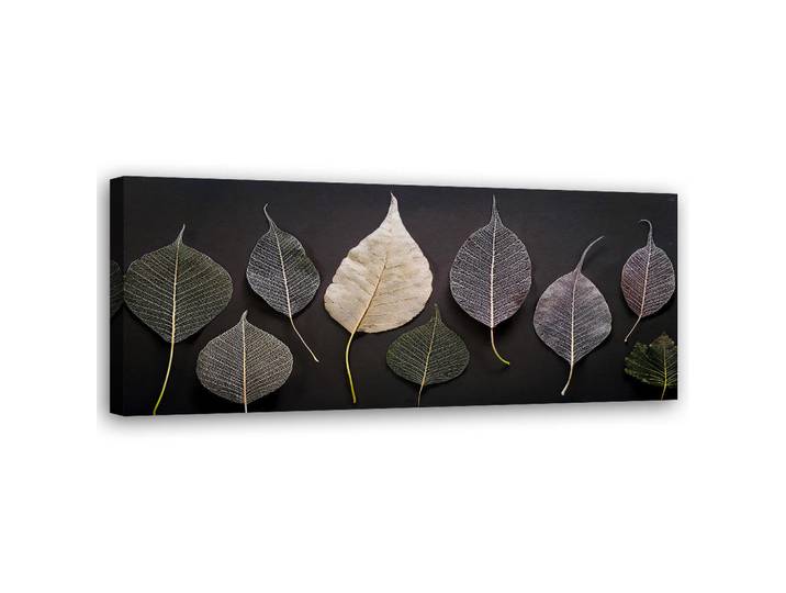 Feeby Wandbild minimalismus hinterlässt glamourpflanzen, Grau, Floral, Rechteckig, 90x30 cm, Bilder & Rahmen, Bilder, Leinwandbilder