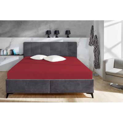 Spannbettlaken PRIMERA "Cozy Cotton Spannbetttuch", rot, B:100cm L:200cm, Biber, Obermaterial: 100% Baumwolle, Bettlaken, Spannbettlaken, in hochwertiger Qualität