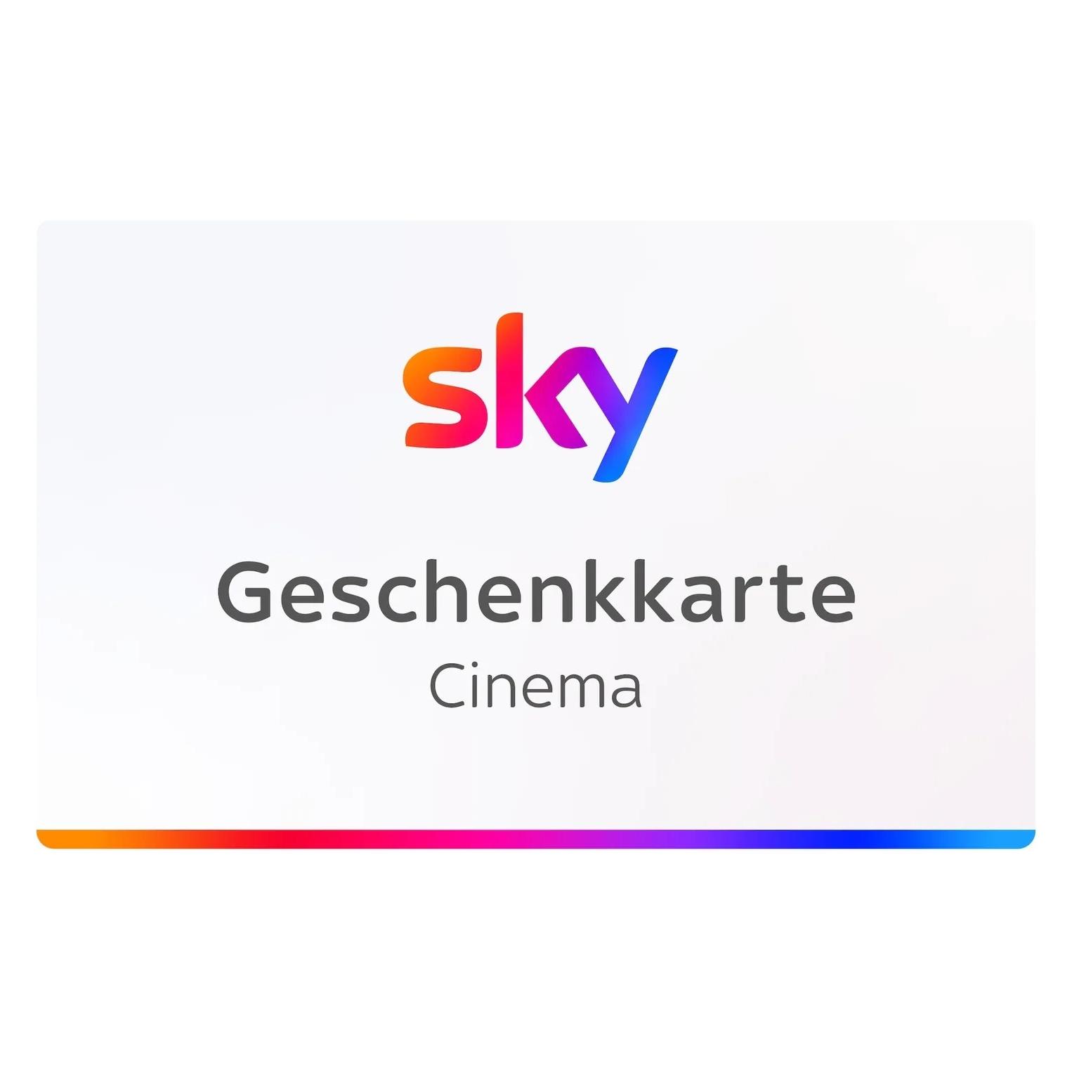 SKY Cinema & Entertainment Plus inkl. Netflix Digital Code (12 Monate) (SKY249C)