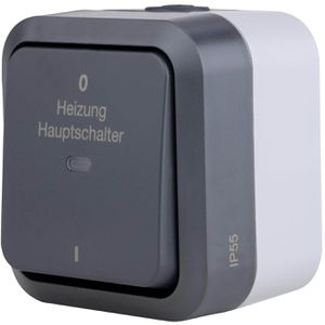REV-Ritter Heizungsnotschalter AquaStorm, Aufputz, Feuchtraum IP55, grau