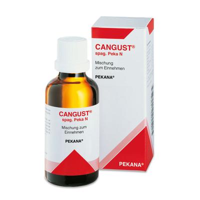 Cangust spag.Tropfen 100 ml Tropfen