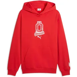 PUMA ÖFB Österreich ftblCulture Relaxed Hoodie Herren 20 - burnt red/puma white XL