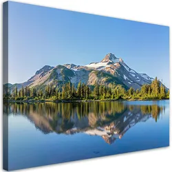 WANDBILD wald berge natur landschaft