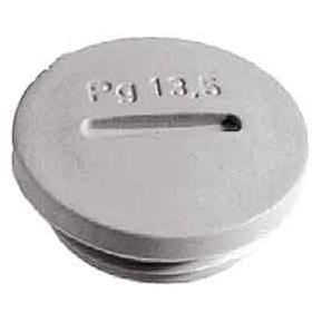 Lapp Verschlussschraube PG13.5 Poly (52024851)