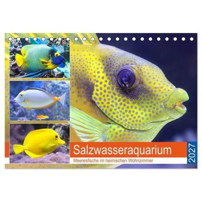Salzwasseraquarium. Meeresfische im heimischen Wohnzimmer (Tischkalender 2027 DIN A5 quer), CALVENDO Monatskalender