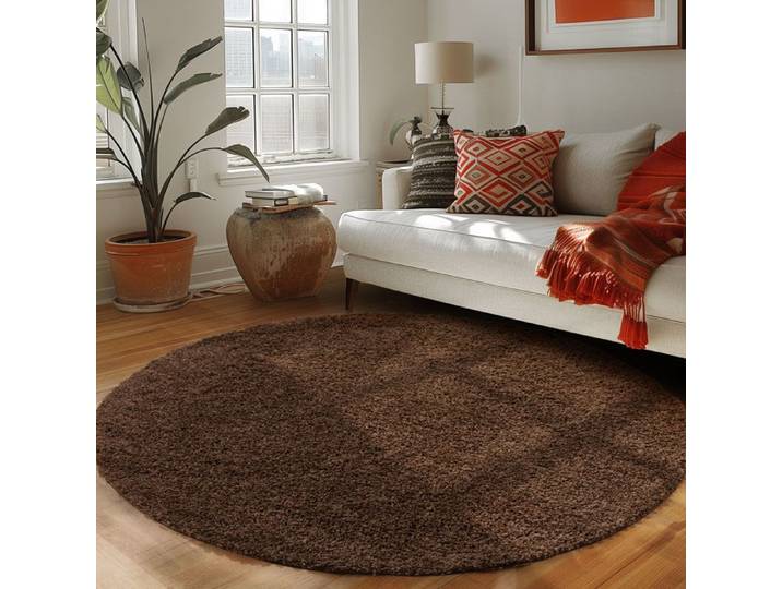 Tapis Salon Shaggy - Mylan - Marron - 160 cm - 100% Polypropylène - CARPETTEX