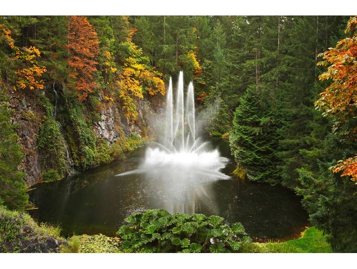 Papermoon Wasserfall im Wald