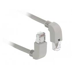 Delock 85861 RJ45 Patchkabel CAT 6 S/FTP 0.50 m Grau Geschirmt 1 St.
