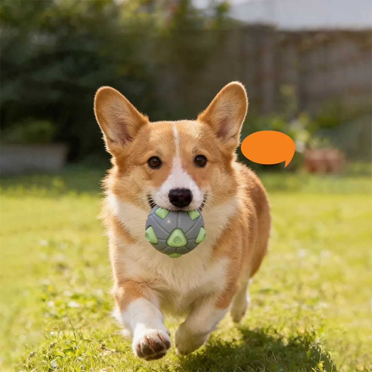INF TPR Quietschball für Hunde: Interaktives Kauspielzeug für kleine bis mittelgroße Hunde Grün