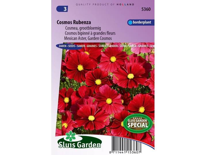 Cosmos zaden Fleuroselect Novelty Rubenza cosmea