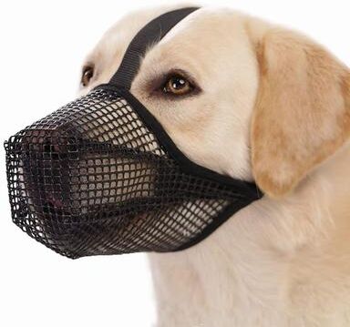 Silver Stone Store Adjustable Breathable Dog Muzzle Anti Bark Mesh Mouth Cover For Safer Walks gray xl