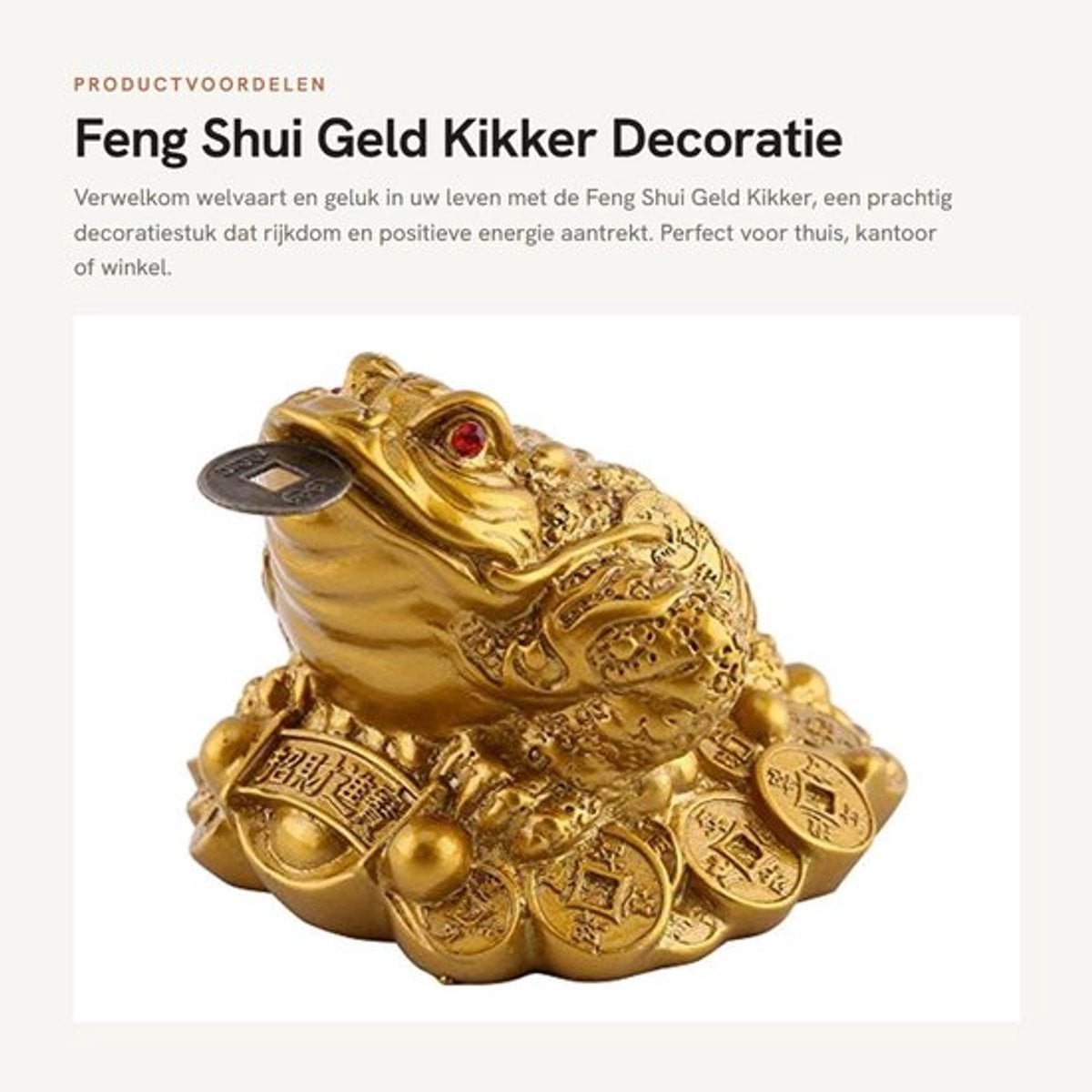 Zilveren Geld Kikker Feng Shui Decoratie met Munt voor Rijkdom en Geluk