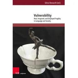 Vulnerability, Fachbücher von Silvia Bonacchi