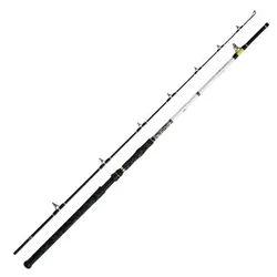 Angelrute Catbuster Boat Boat, Boat / 210cm 150-600g
